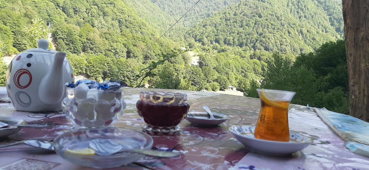 Gabala Mountains Villa Екстер'єр фото